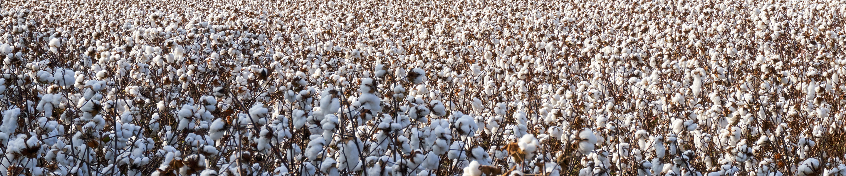 Manuels d'instructions