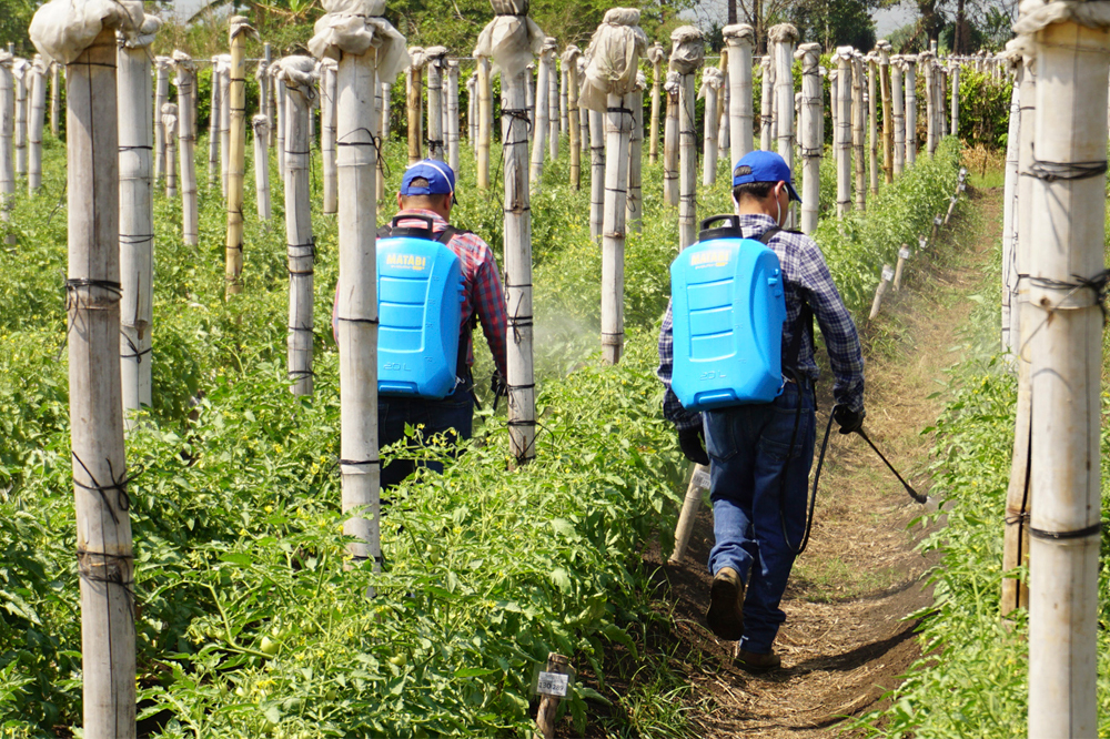 EVOLUTION 20 LTCs SPRAYER